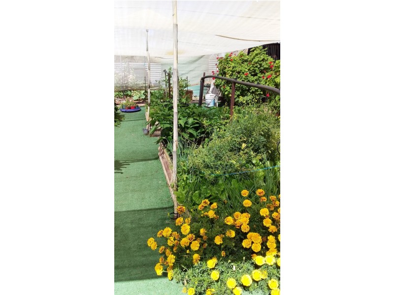 10641 Goyder Highway, Waikerie SA 5330