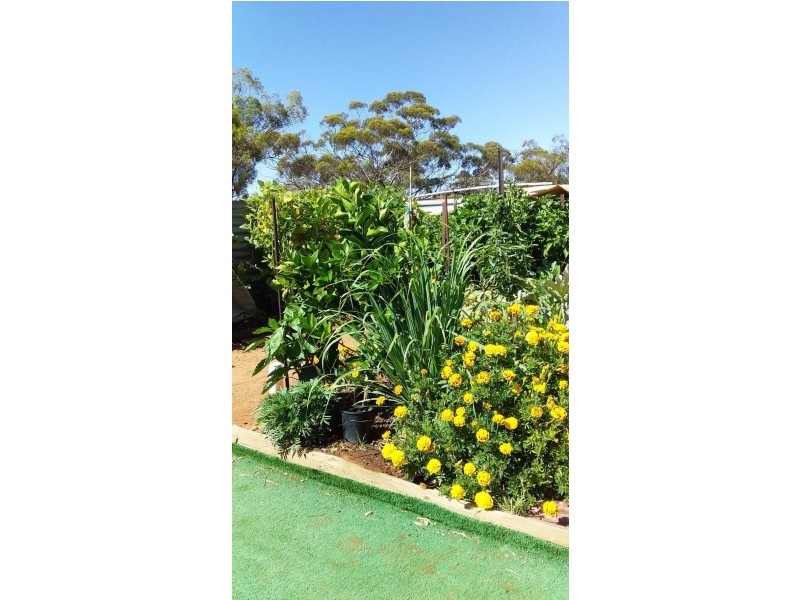 10641 Goyder Highway, Waikerie SA 5330