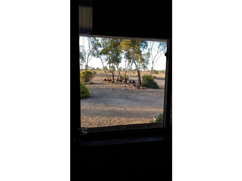 10641 Goyder Highway, Waikerie SA 5330