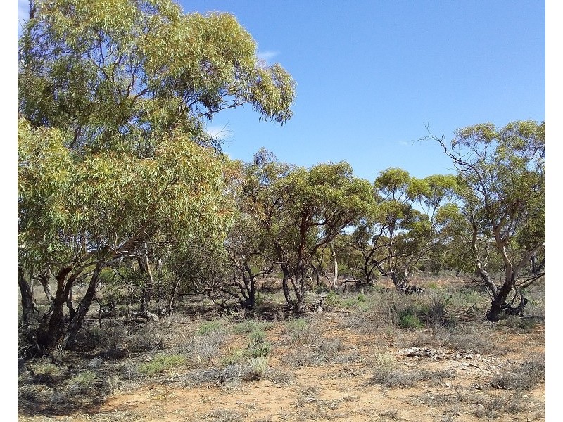 Lot 21 Goyder Highway, Waikerie SA 5330