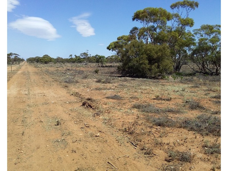 Lot 21 Goyder Highway, Waikerie SA 5330