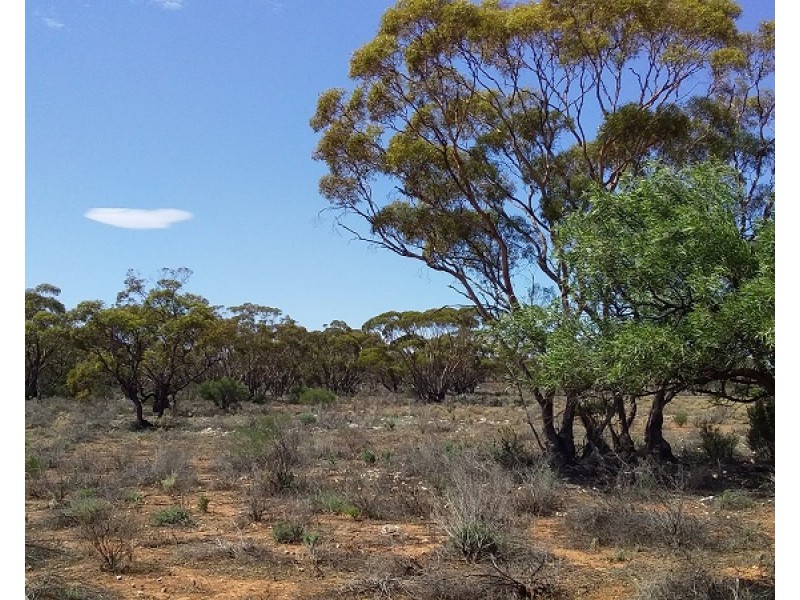 Lot 21 Goyder Highway, Waikerie SA 5330