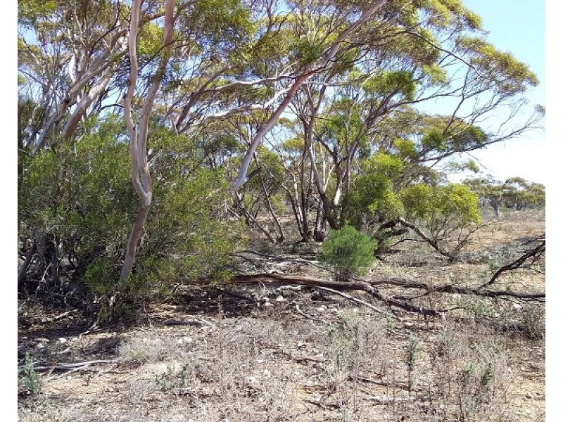 Lot 21 Goyder Highway, Waikerie SA 5330