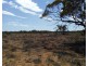 Lot 21 Goyder Highway, Waikerie SA 5330
