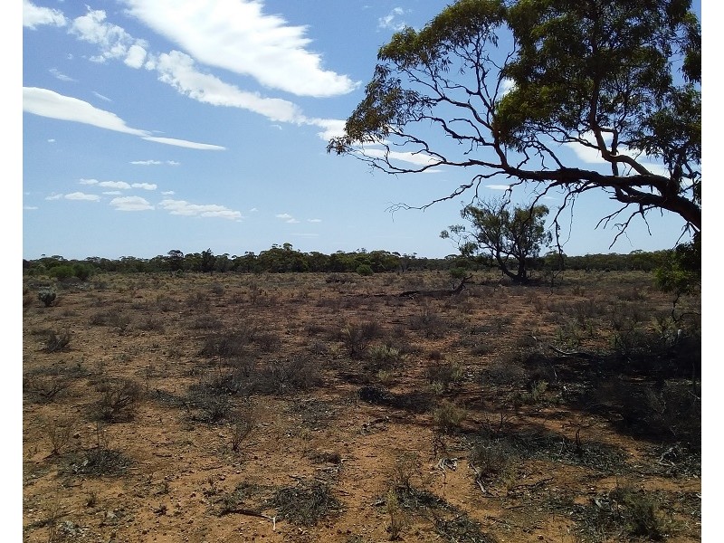 Lot 21 Goyder Highway, Waikerie SA 5330