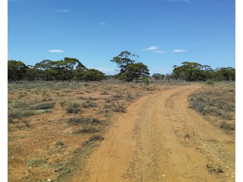 Lot 21 Goyder Highway, Waikerie SA 5330