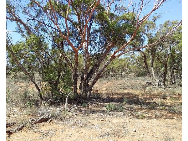 Lot 21 Goyder Highway, Waikerie SA 5330