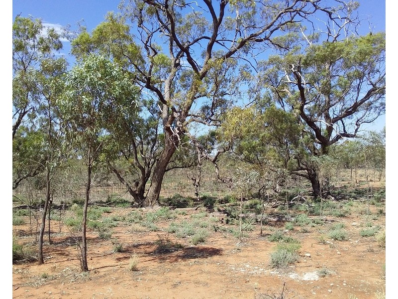 Lot 21 Goyder Highway, Waikerie SA 5330