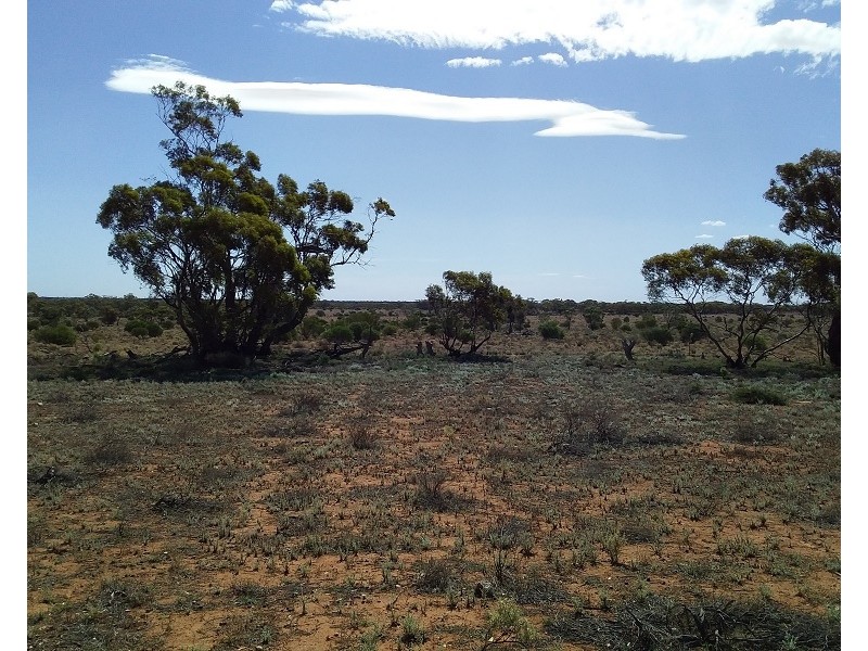 Lot 21 Goyder Highway, Waikerie SA 5330