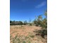 Lot 100, 381 Bookmark Avenue, Renmark SA 5341