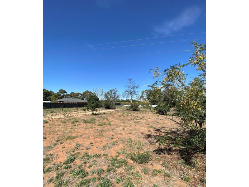 Lot 100, 381 Bookmark Avenue, Renmark SA 5341