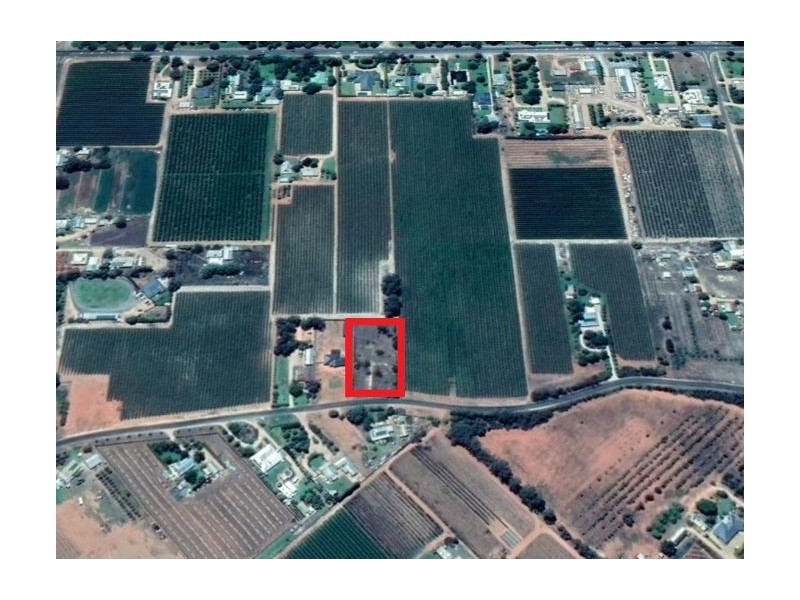 Lot 100, 381 Bookmark Avenue, Renmark SA 5341