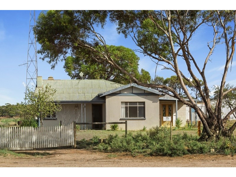 75 Henry Road, Kingston On Murray SA 5331