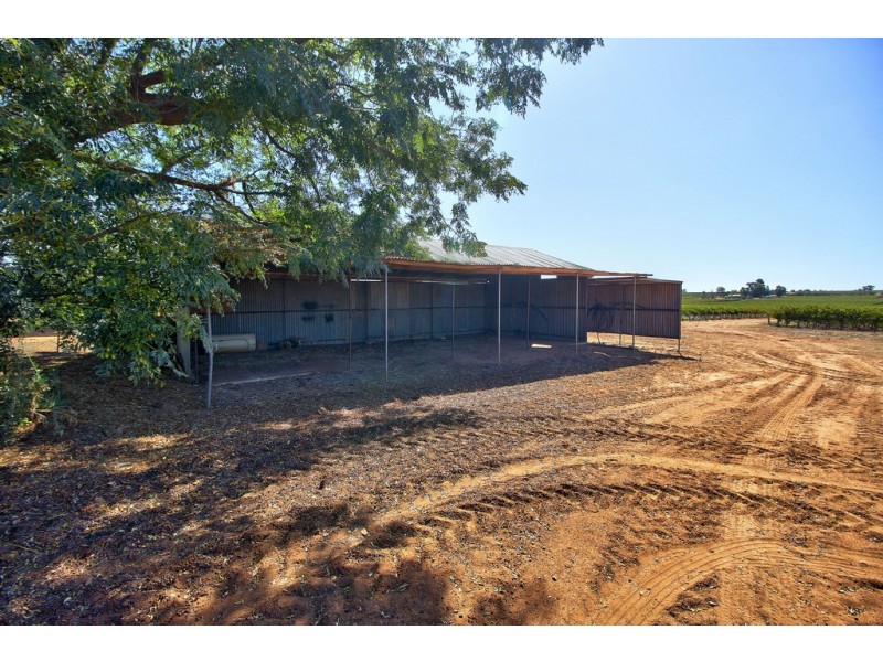 191 Kibby Road, Loxton SA 5333