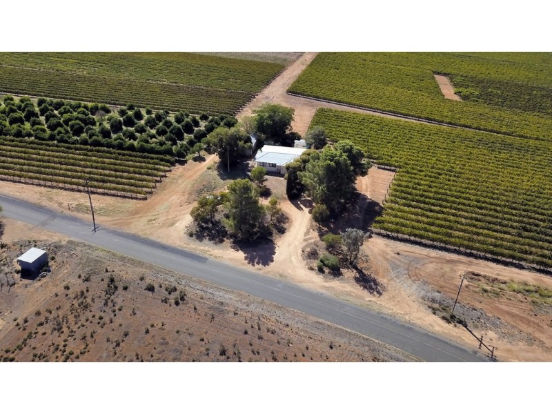 191 Kibby Road, Loxton SA 5333