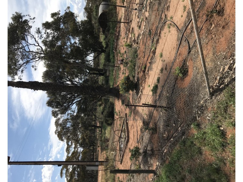 7309 Stott Highway Wunkar, Loxton SA 5333