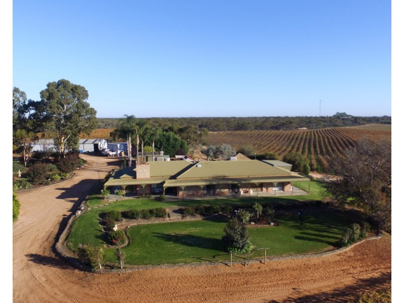 133 Cooltong Avenue, Renmark SA 5341