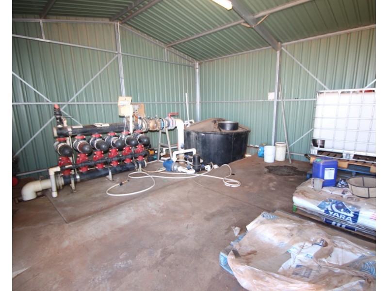 133 Cooltong Avenue, Renmark SA 5341