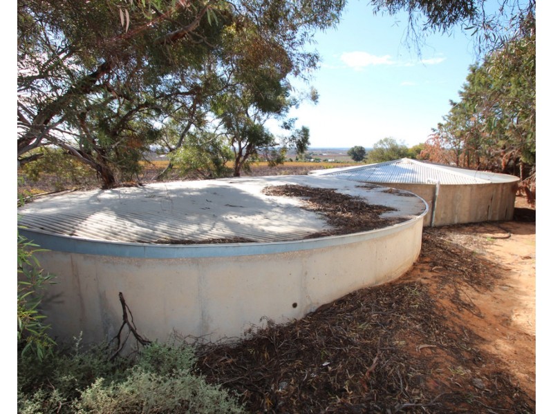 133 Cooltong Avenue, Renmark SA 5341