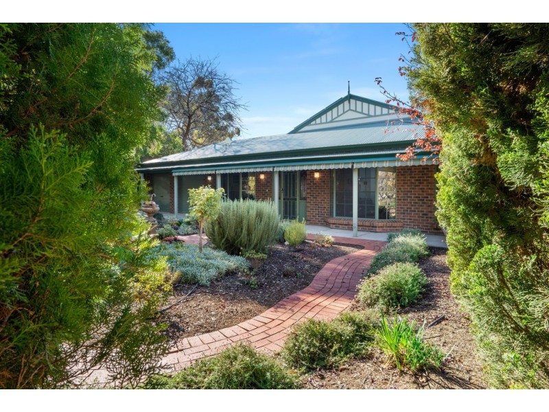 221 Arumpo Street, Renmark SA 5341