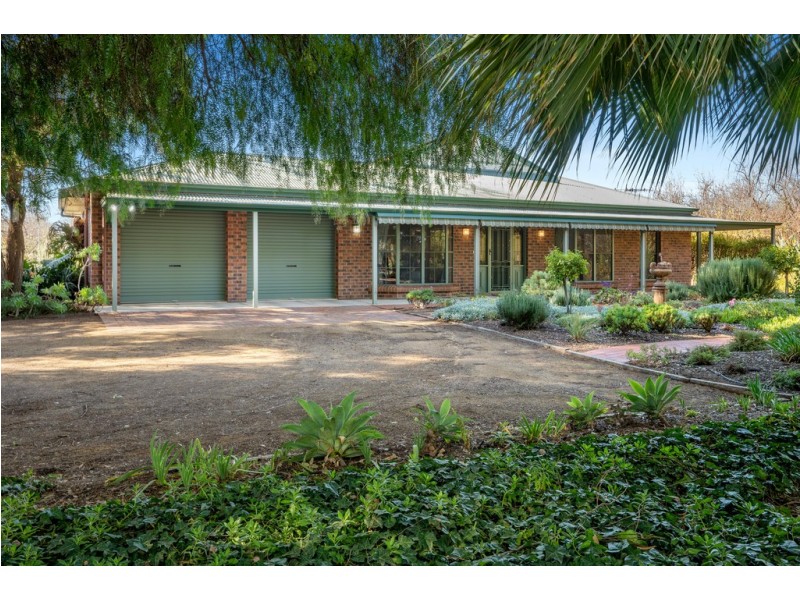 221 Arumpo Street, Renmark SA 5341