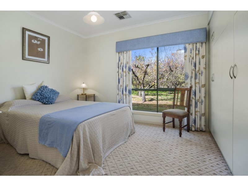 221 Arumpo Street, Renmark SA 5341