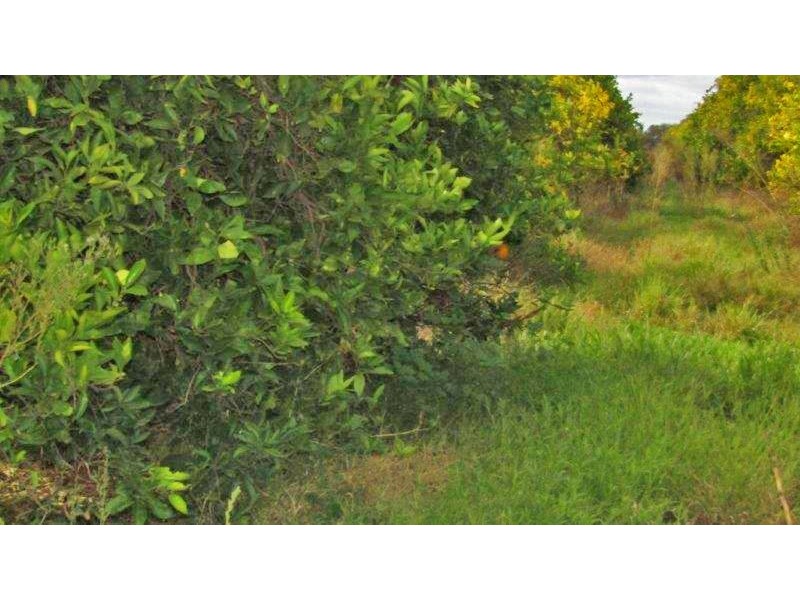 99 Jones Road, Waikerie SA 5330