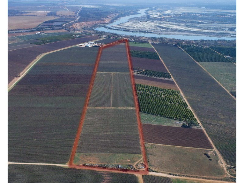 275 Stanitzki Road, Pike River SA 5340