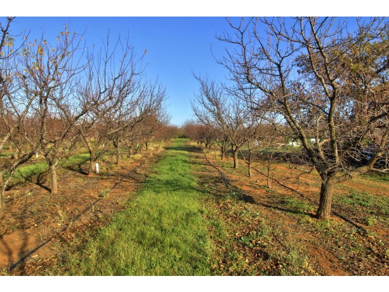 Lot 54 Newton Road, Loxton SA 5333