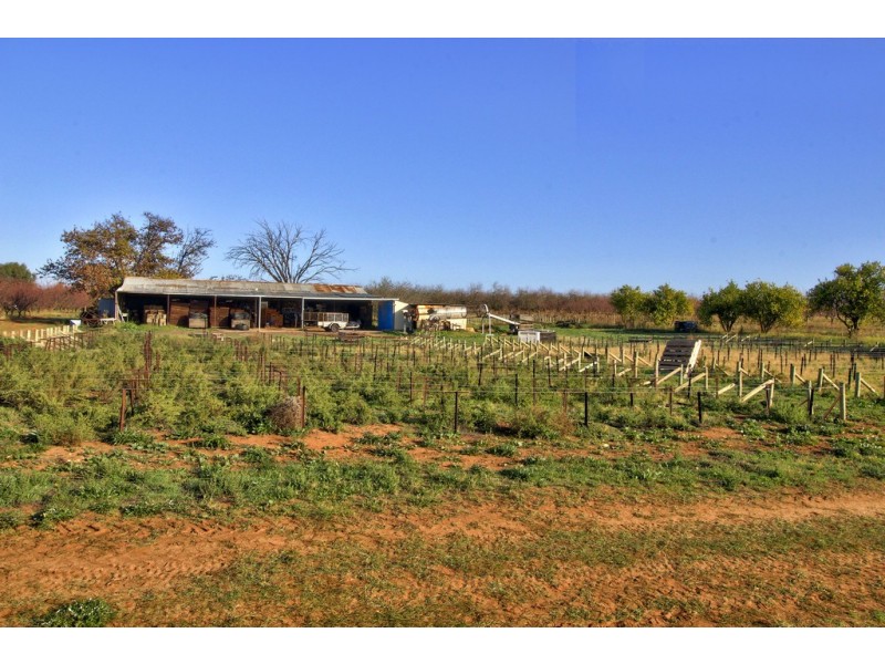 Lot 54 Newton Road, Loxton SA 5333