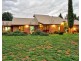 198 Gurney Road, Loxton SA 5333