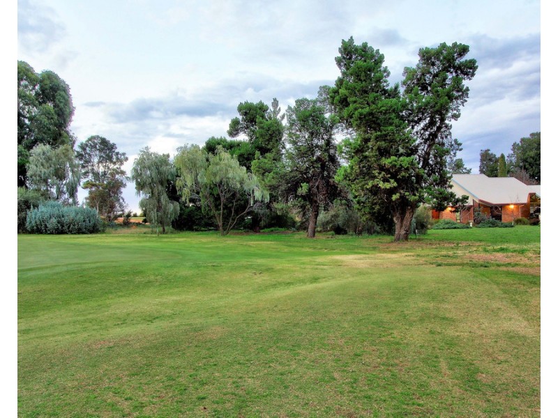 198 Gurney Road, Loxton SA 5333