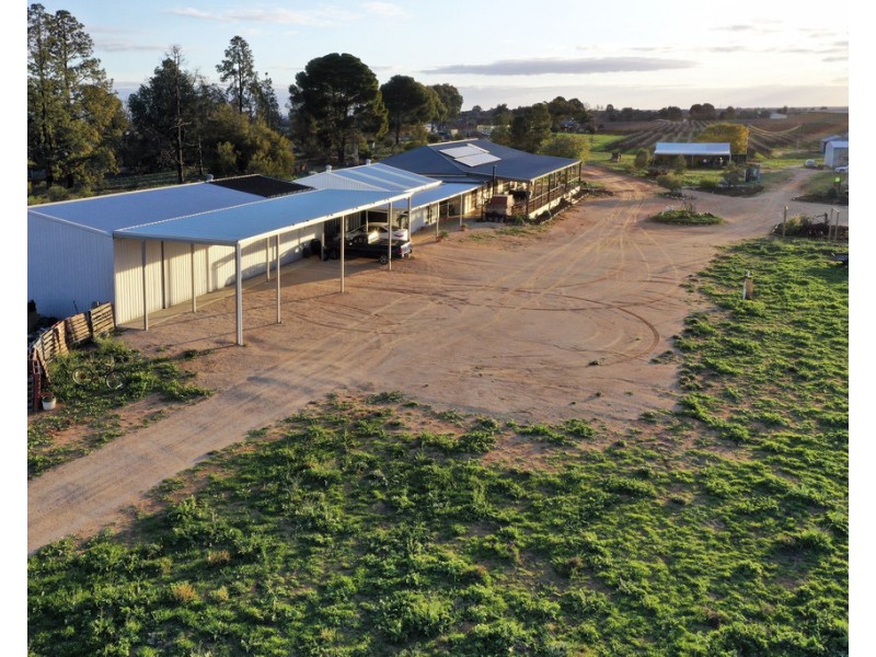 121 Anderson Road, Loxton SA 5333