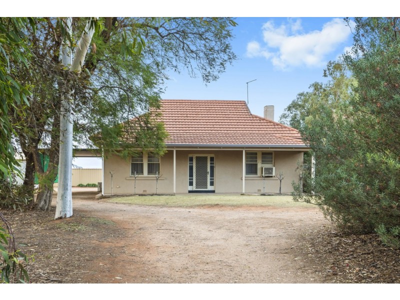 16 Rialto Street, Renmark SA 5341