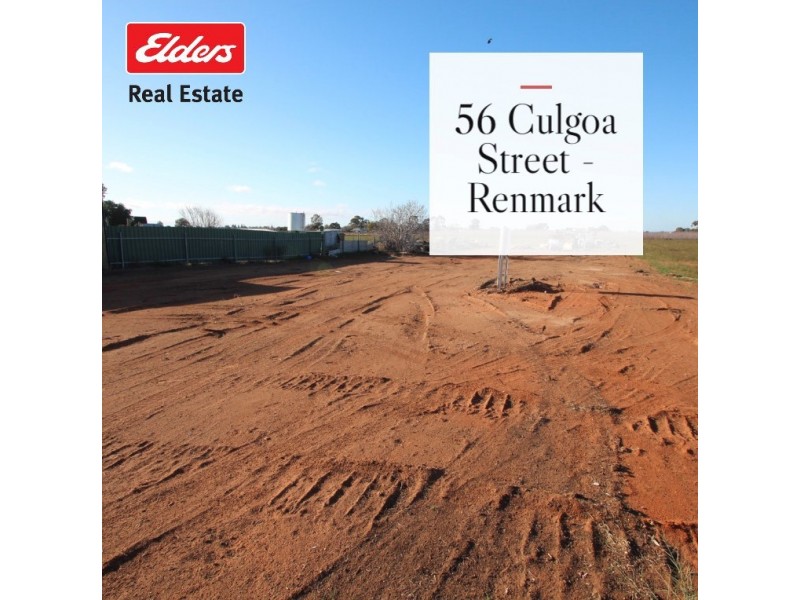 56 Culgoa Street, Renmark SA 5341