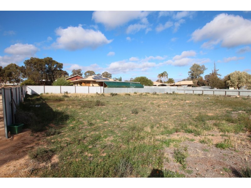 13 Hardwick Street, Barmera SA 5345