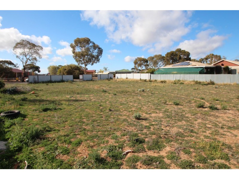 13 Hardwick Street, Barmera SA 5345