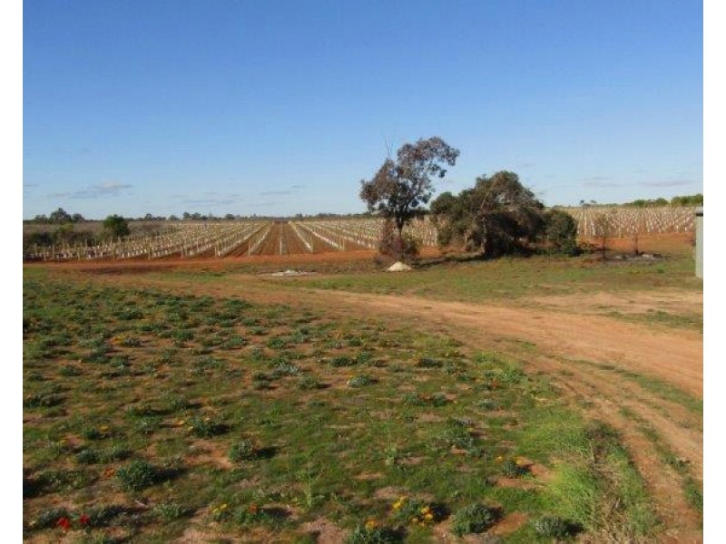 185 Thompson Road, Sunlands SA 5322