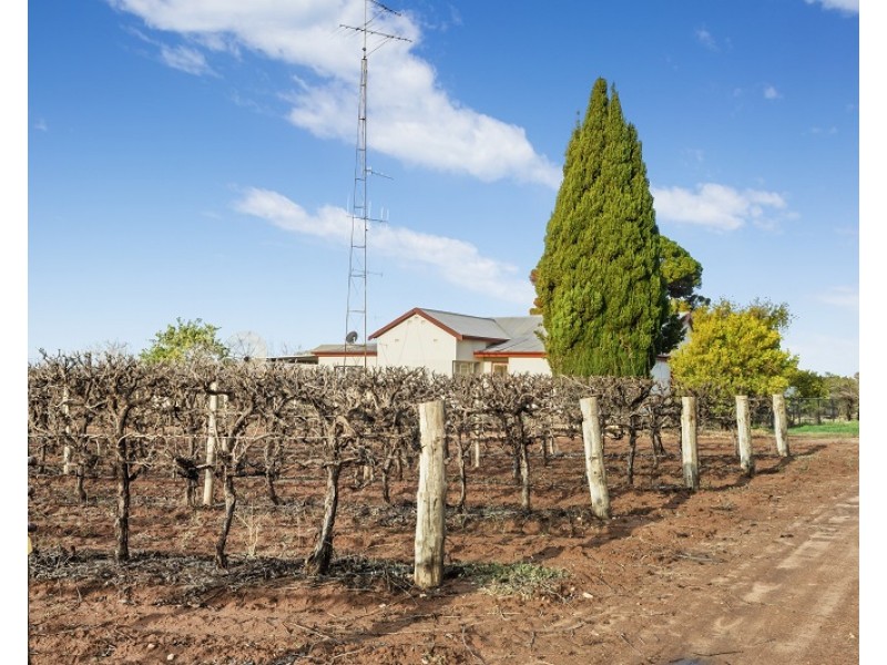 29 DeFontenay Road, Barmera SA 5345
