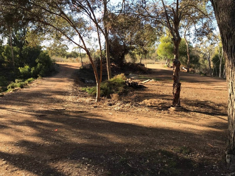 6 Access Road and Lot 75 Tennabie Street, Morgan SA 5320