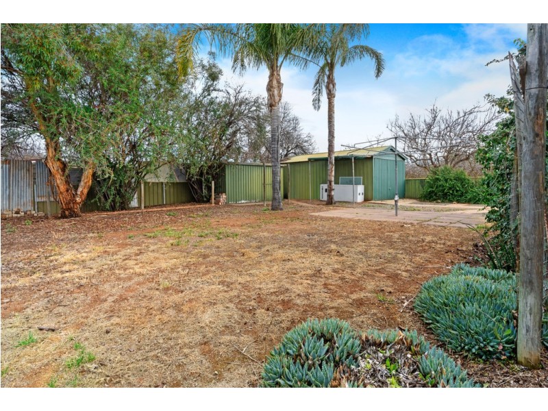 7 Barrington Street, Renmark SA 5341