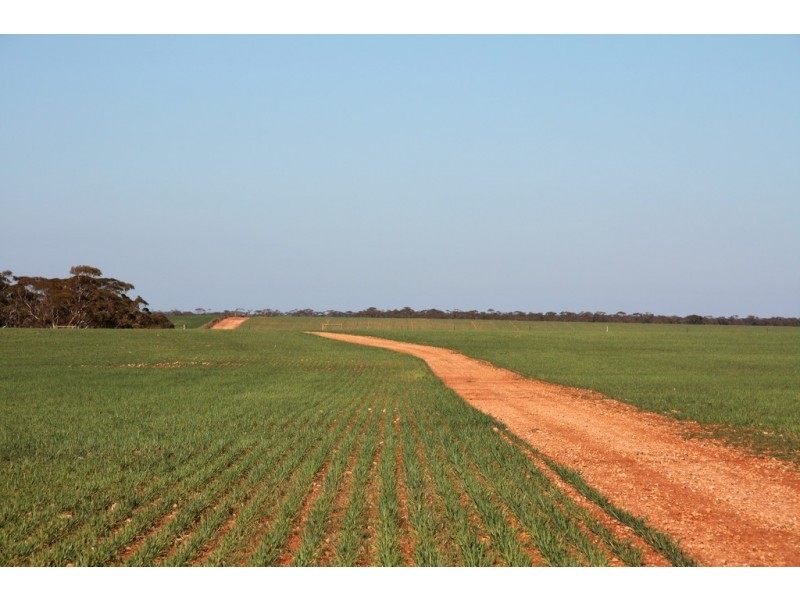 580 Krollig Road, Woolpunda SA 5330