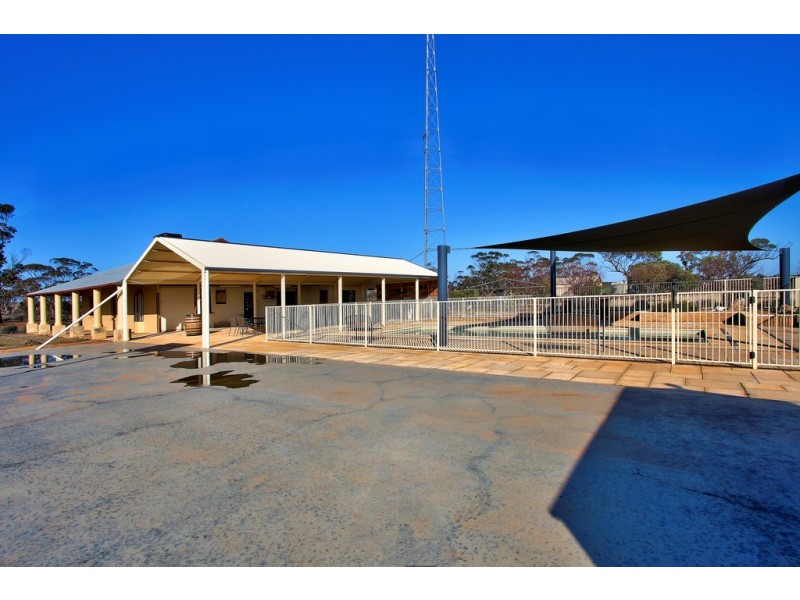 580 Krollig Road, Woolpunda SA 5330