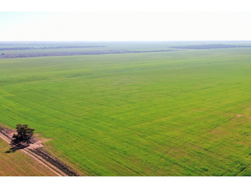 580 Krollig Road, Woolpunda SA 5330