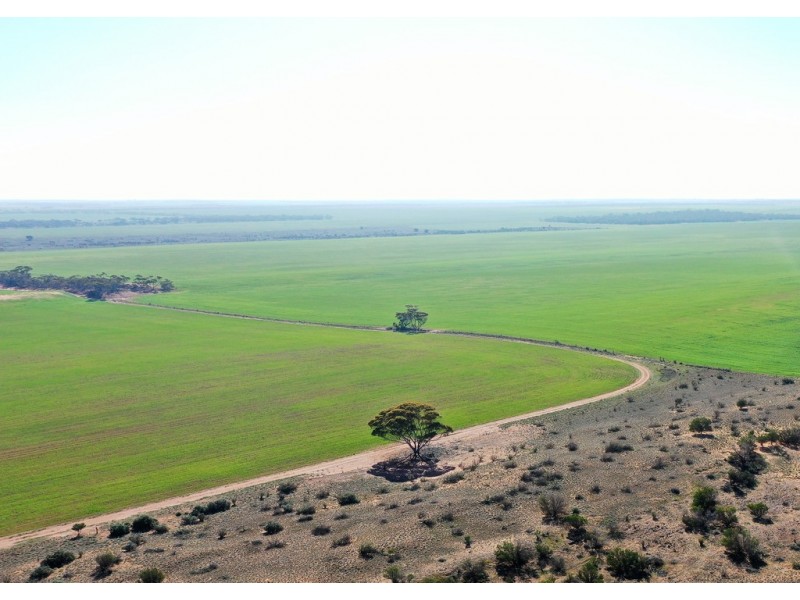 580 Krollig Road, Woolpunda SA 5330