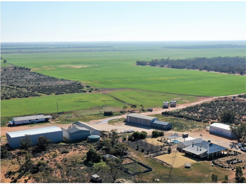 580 Krollig Road, Woolpunda SA 5330