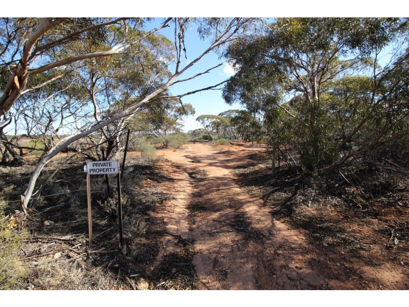 Lot 91 Ral Ral Avenue, Renmark SA 5341