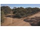Lot 91 Ral Ral Avenue, Renmark SA 5341
