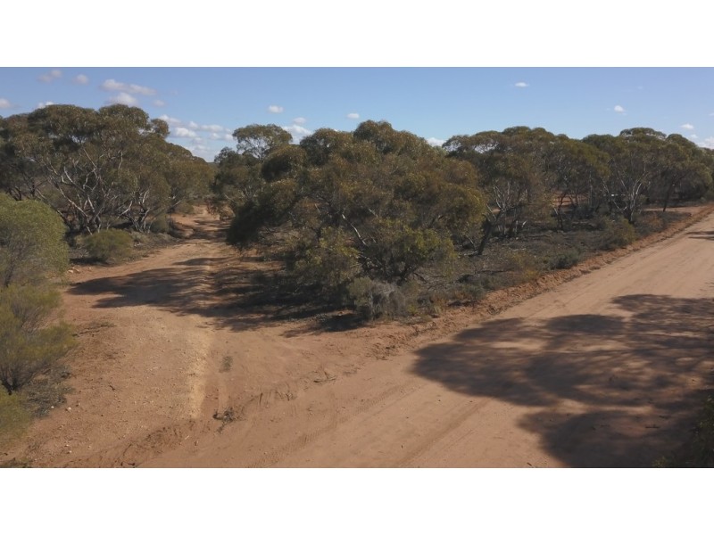 Lot 91 Ral Ral Avenue, Renmark SA 5341