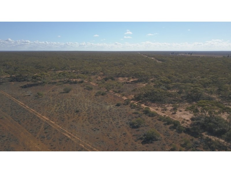 Lot 91 Ral Ral Avenue, Renmark SA 5341